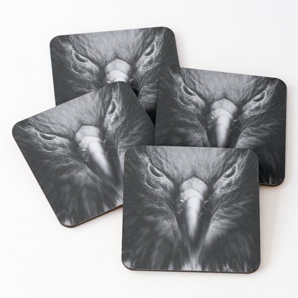 Item preview, Aquila  designed and sold by Chiko's.
