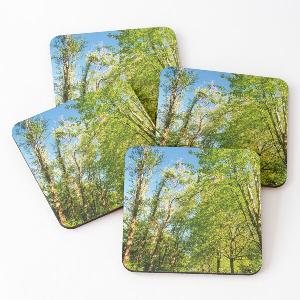 Item preview, Trail running between the galleries designed and sold by Joel Bader.