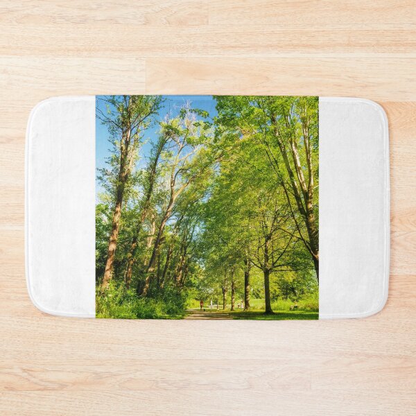 Item preview, Trail running between the galleries designed and sold by Joel Bader.