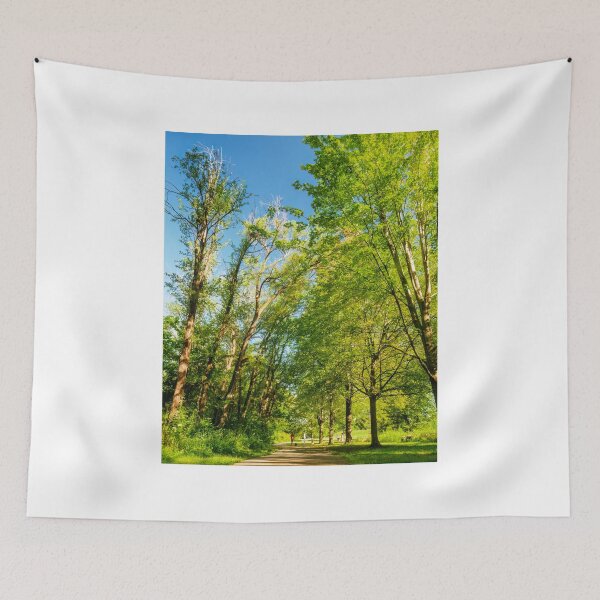 Item preview, Trail running between the galleries designed and sold by Joel Bader.