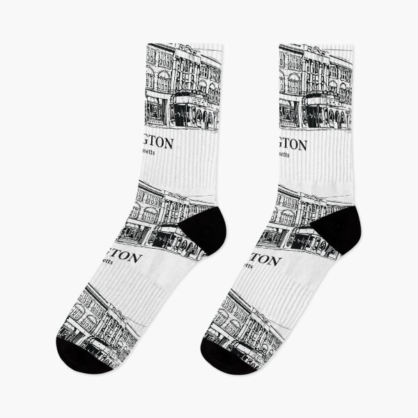 Item preview, Arlington - Massachusetts designed and sold by Lakeric Cityscapes.