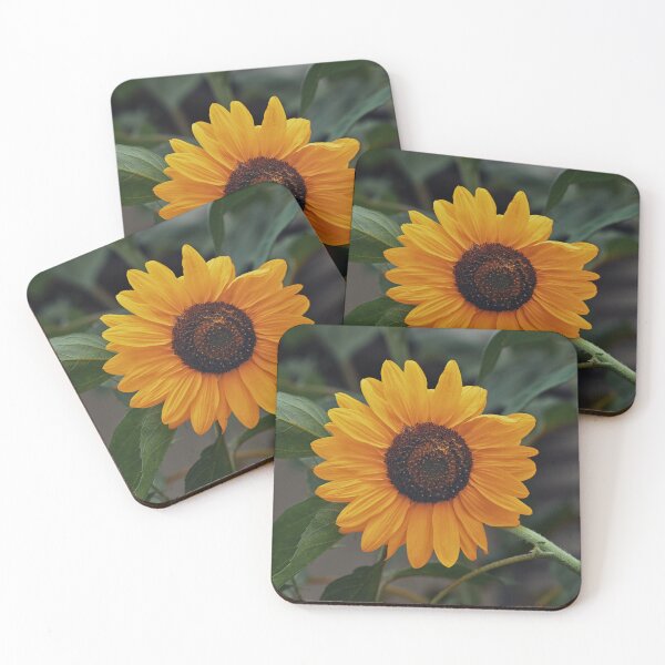 Item preview, Sunflower in garden designed and sold by Cblifeisgood.