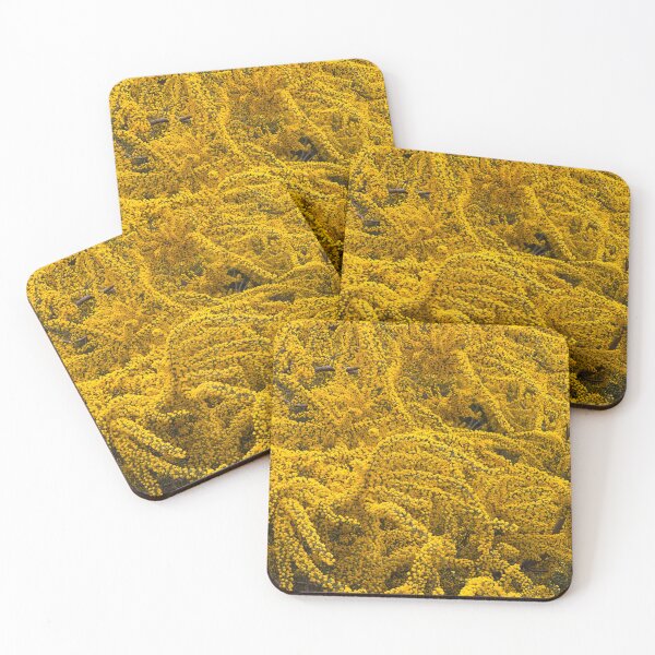Item preview, Cootamundra Wattle - acacia designed and sold by indiafrankk.