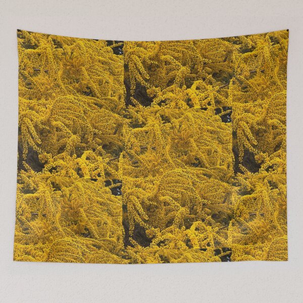 Item preview, Cootamundra Wattle - acacia designed and sold by indiafrankk.