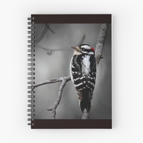 Item preview, Downy Woodpecker in Winter  designed and sold by Shannon Emmel .