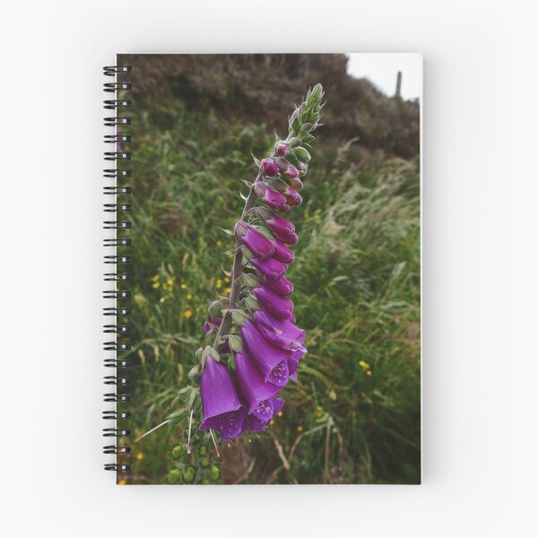 Item preview, Common Foxglove (Digitalis purpurea) designed and sold by IOMWildFlowers.