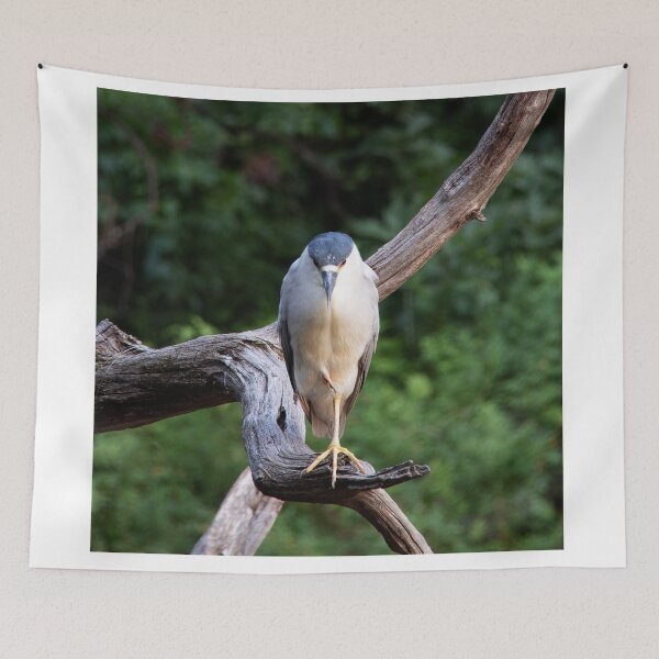 Item preview, Night Heron Patiently Fishing designed and sold by HarmonyInView.