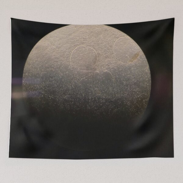 Item preview, Microscope Cells designed and sold by Mcmipe.
