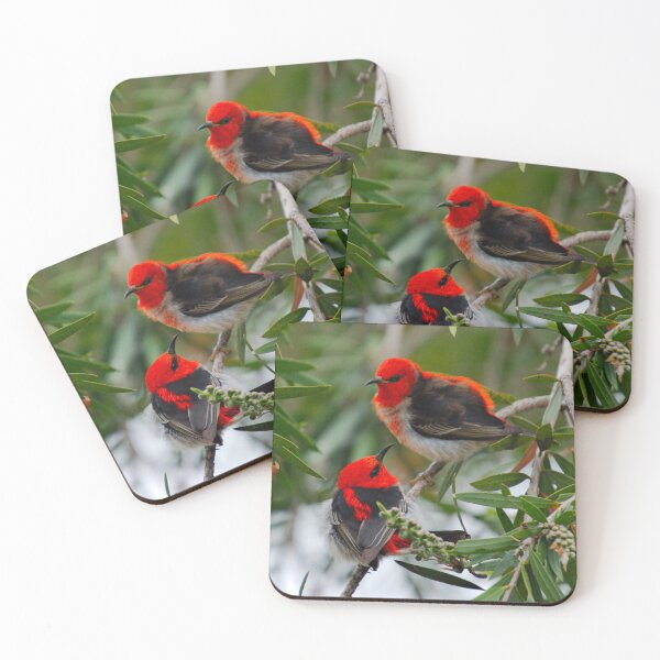 Item preview, SC ~ WO ~ HONEYEATER ~ Scarlet Honeyeater Mo6aDHNY by David Irwin 220919 designed and sold by tasmanianartist.