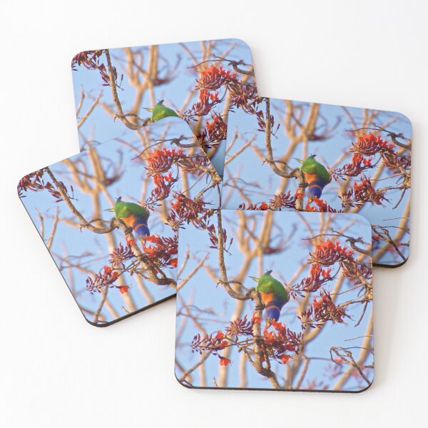Item preview, NT ~ PARROT ~ Ringneck Lorikeet VABntkRs by David Irwin 071119 designed and sold by tasmanianartist.