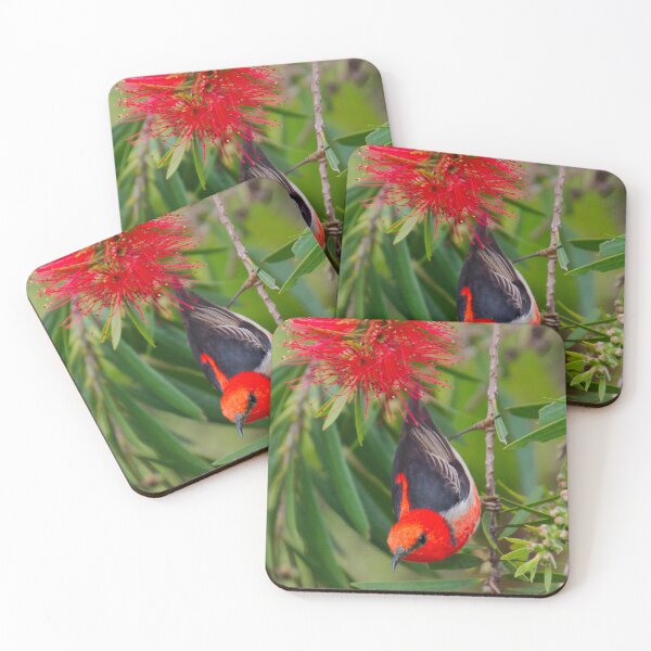 Item preview, SC ~ WO ~ HONEYEATER ~ Scarlet Honeyeater JAgtK3At by David Irwin 261019 designed and sold by tasmanianartist.