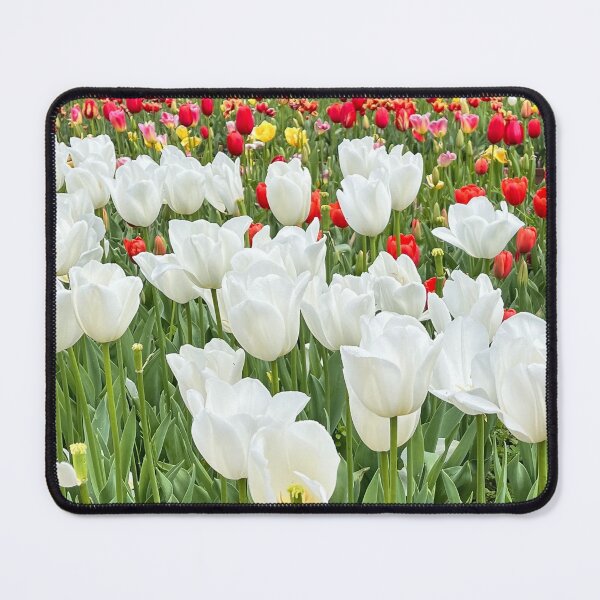 Item preview, Serene White Tulip Field with Colorful Blooms designed and sold by Be Captured by Brittany Emma.