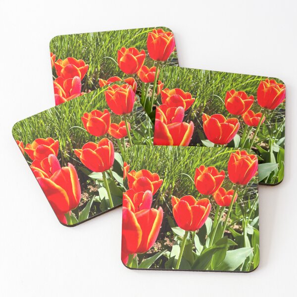Item preview, Red Tulips Glowing in Sunlight designed and sold by Be Captured by Brittany Emma.