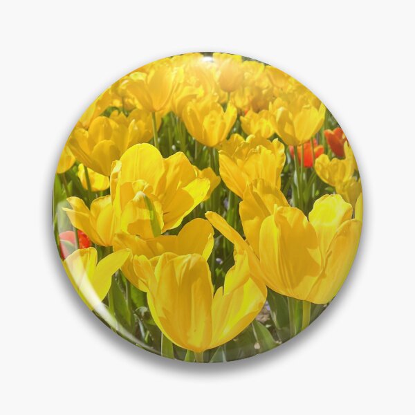 Item preview, Golden Yellow Tulip Field in Sunshine designed and sold by Be Captured by Brittany Emma.