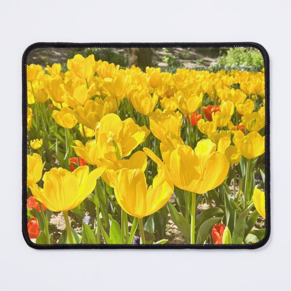 Item preview, Golden Yellow Tulip Field in Sunshine designed and sold by Be Captured by Brittany Emma.