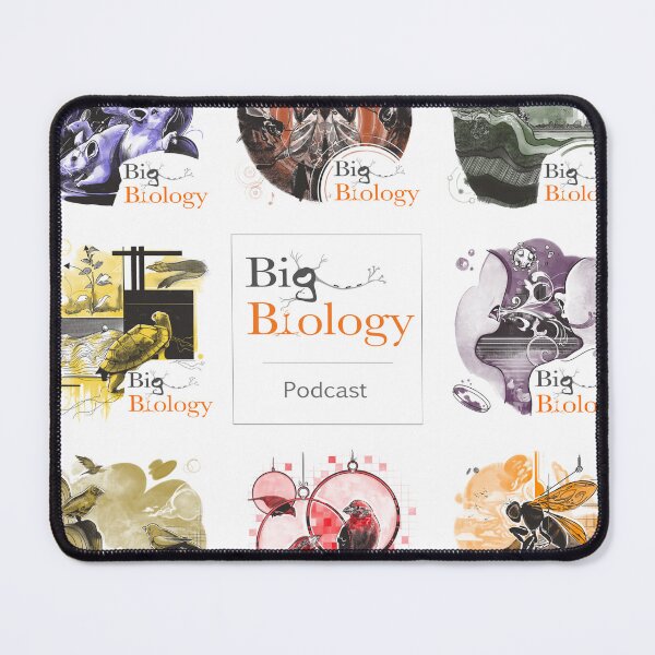 Item preview, Big Biology Season 7 designed and sold by BigBiology.