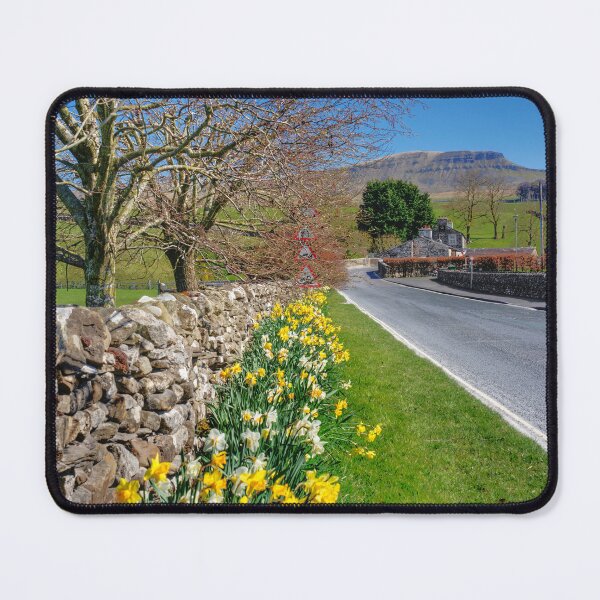 Item preview, Pen y Ghent Daffodils designed and sold by Alisonchambers2.