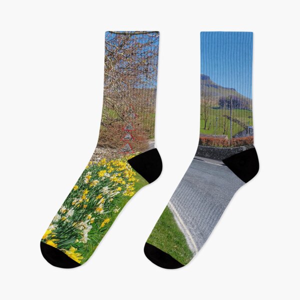 Item preview, Pen y Ghent Daffodils designed and sold by Alisonchambers2.