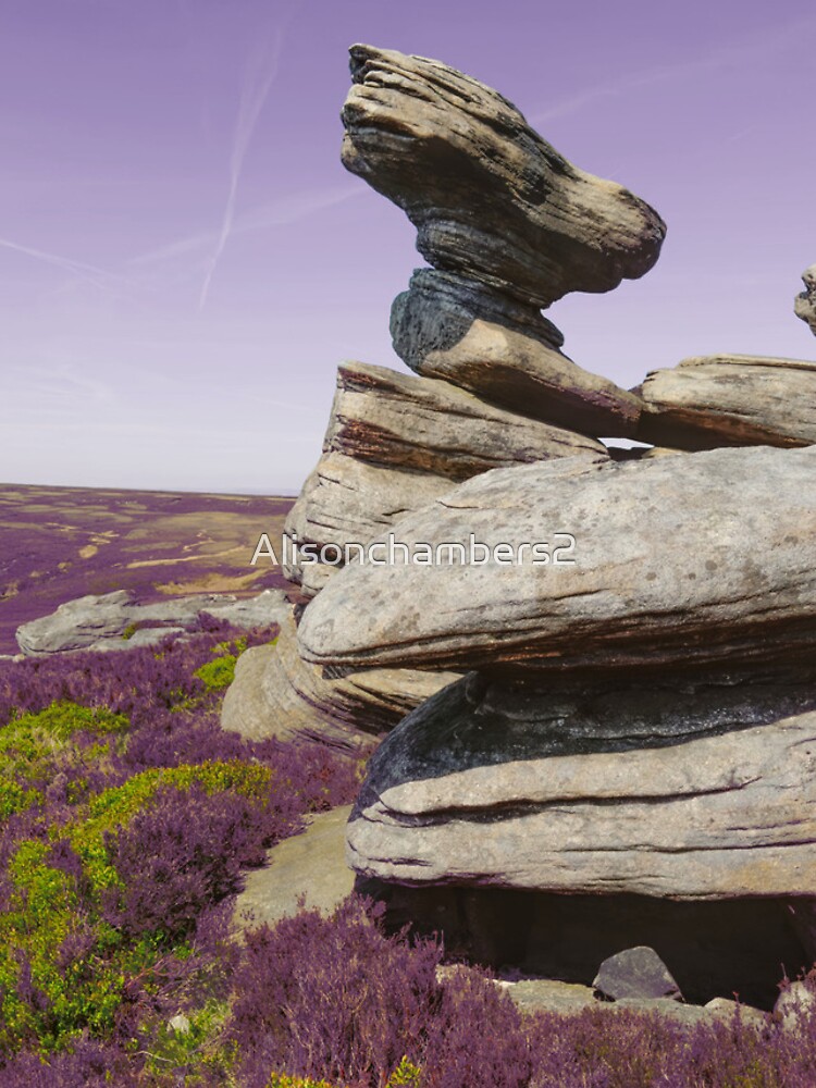 Thumbnail 4 of 4, iPhone Case, The Rocking Stone designed and sold by Alisonchambers2.
