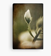 Hairy Metal Print