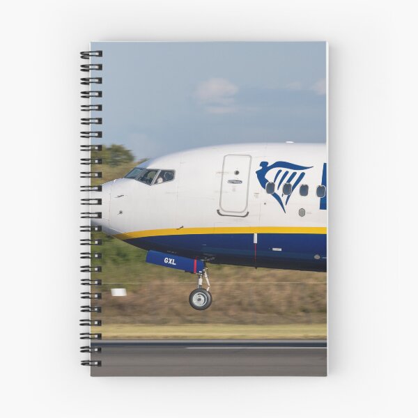 Artikelvorschau, Ryanair Boeing 737 EI-GXL MAN an FAO entworfen und verkauft von Skyframe Aviation.