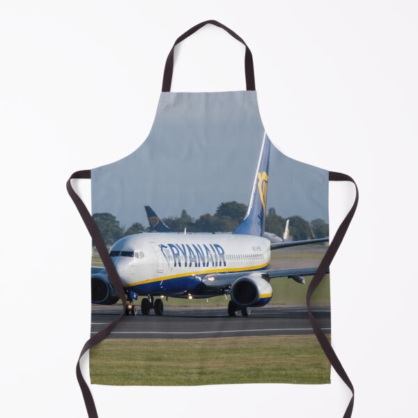 Item preview, Ryanair Boeing 737 EI-EBC MAN to FAO designed and sold by Skyframe Aviation.