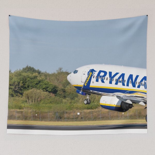 Item preview, Ryanair Boeing 737 EI-EBC MAN to FAO designed and sold by Skyframe Aviation.