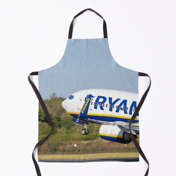 Item preview, Ryanair Boeing 737 EI-EBC MAN to FAO designed and sold by Skyframe Aviation.