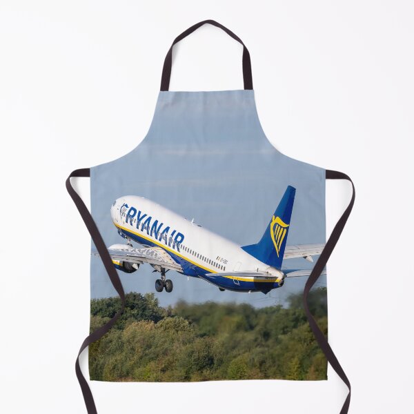 Item preview, Ryanair Boeing 737 EI-EBC MAN to FAO designed and sold by Skyframe Aviation.