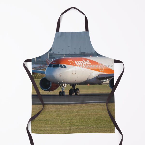 Item preview, easyJet Airbus A320 G-EZRZ MAN to GVA designed and sold by Skyframe Aviation.