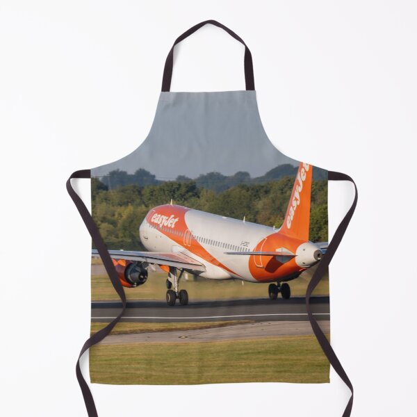 Item preview, easyJet Airbus A320 G-EZRZ MAN to GVA designed and sold by Skyframe Aviation.