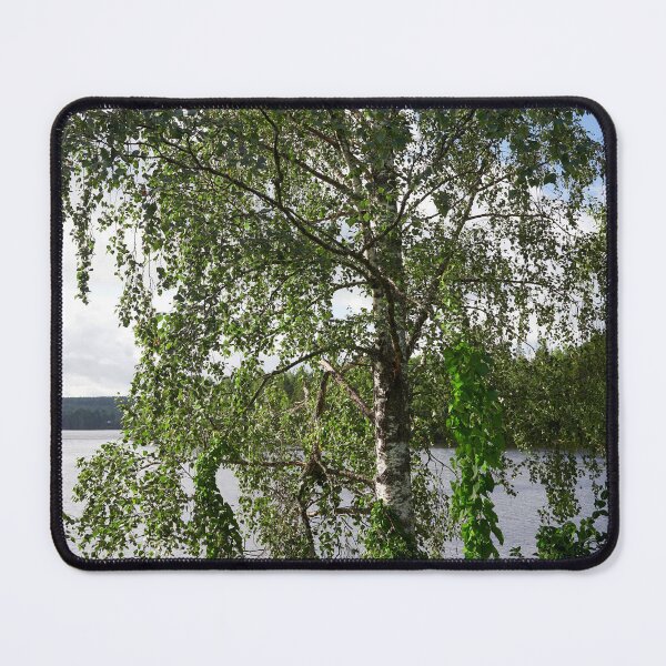 Item preview, Birch by the lake.  Siuro summer 2025 designed and sold by Jouko Lehto Photography.