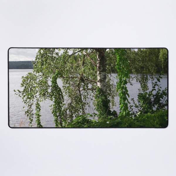 Item preview, Birch by the lake. Siuro summer 2025 designed and sold by Jouko Lehto Photography.