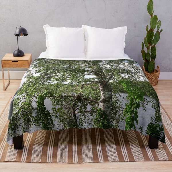Item preview, Birch by the lake. Siuro summer 2025 designed and sold by Jouko Lehto Photography.