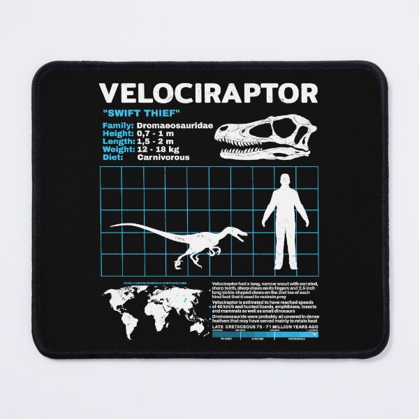 Item preview, Velociraptor fact sheet designed and sold by NicGrayGraphic.