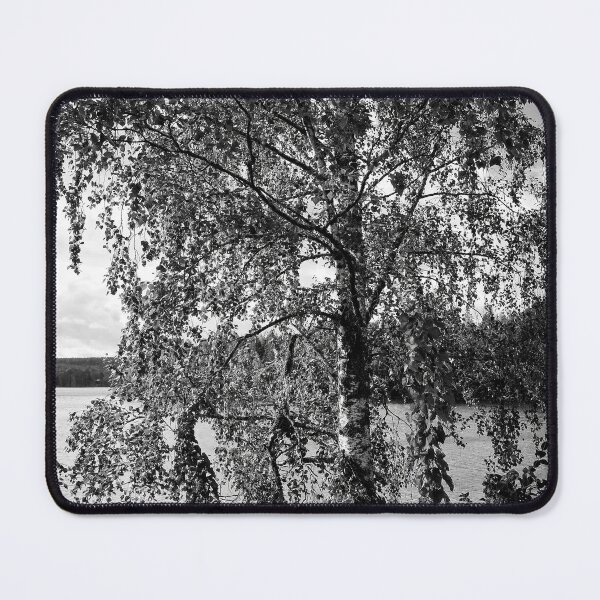 Item preview, Birch by the lake. Siuro summer 2025 bw designed and sold by Jouko Lehto Photography.