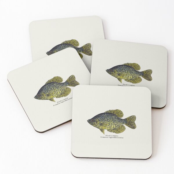 Item preview, Black Crappie Painting designed and sold by Stephen Emms.