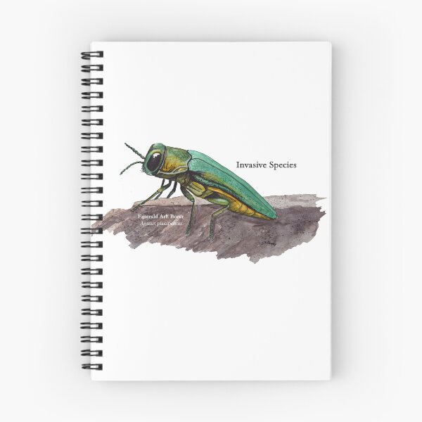 Item preview, Emerald Ash Borer Invasive Species Painting designed and sold by Stephen Emms.