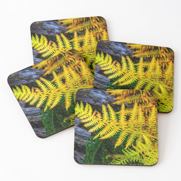 Item preview, Autumn Fern designed and sold by Geoff Shoults.