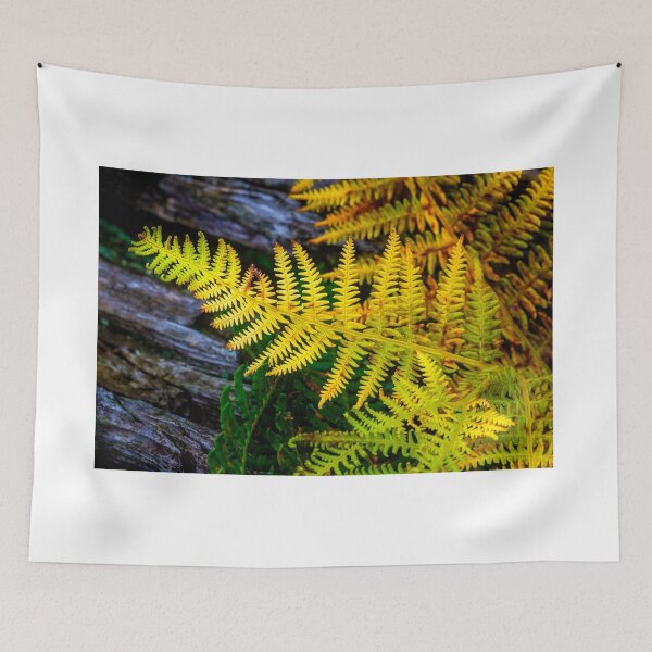 Item preview, Autumn Fern designed and sold by Geoff Shoults.