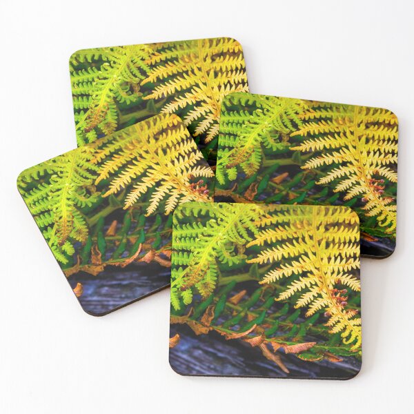 Item preview, Ferns designed and sold by Geoff Shoults.