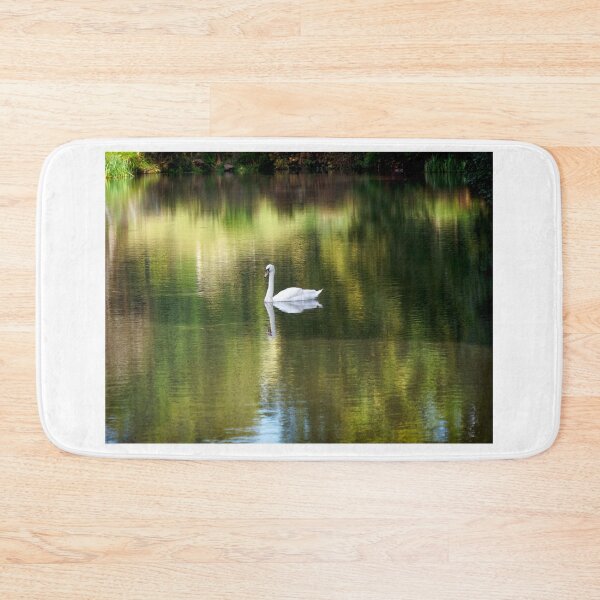 Aperçu de l'œuvre Cygne tuberculé sur fond d'ombres et de reflets sur un lac du Somerset créée et vendue par Dorset Girl.