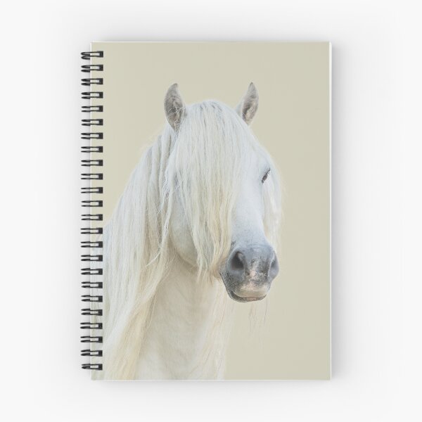 Item preview, Pony Placement Print designed and sold by Jane Stanley Photography.