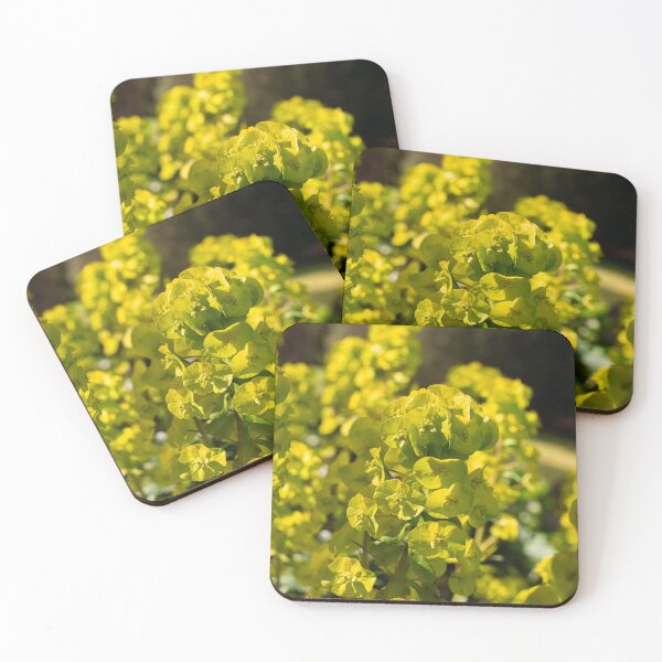 Item preview, Spurge in beautiful bright yellow designed and sold by TW-Fotos.