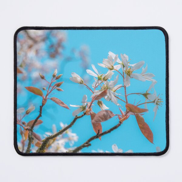 Item preview, beautiful white flowers against a light blue clear sky designed and sold by TW-Fotos.