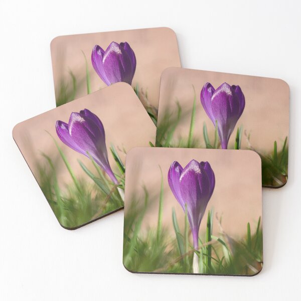 Item preview, Spring crocus in its spring splendor designed and sold by TW-Fotos.