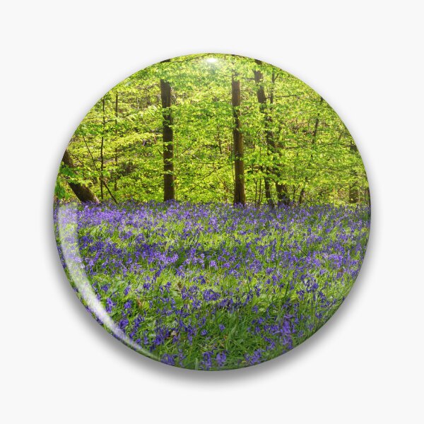 Item preview, Bluebells in a wood in Kent England UK designed and sold by John Gilham - Landscape Photography.