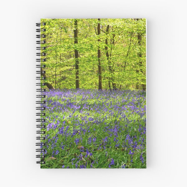 Item preview, Bluebells in a wood in Kent England UK designed and sold by John Gilham - Landscape Photography.