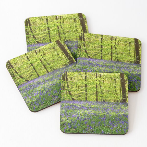 Item preview, Bluebells in a wood in Kent England UK designed and sold by John Gilham - Landscape Photography.