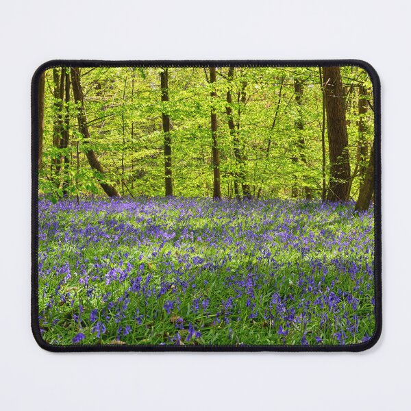 Item preview, Bluebells in a wood in Kent England UK designed and sold by John Gilham - Landscape Photography.